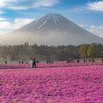 Mt Fuji Tour with Japanese Local Guide on Private Car from Tokyo - Value and Practical Considerations