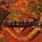 Mt. Fuji Views and Kawaguchiko Scenic Day Tour From Tokyo - What’s Included & Excluded?