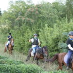 Mt Mogan Horse Riding - Half-day Outdoor Trail Riding near Hangzhou - Why This Tour Offers Great Value