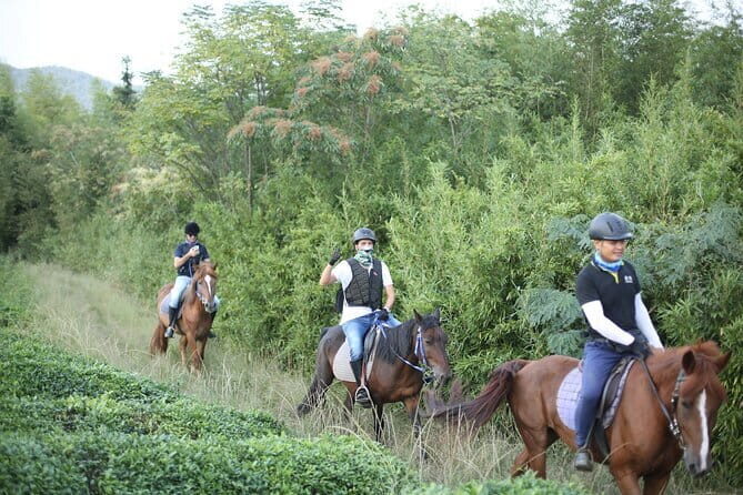 Mt Mogan Horse Riding - Half-day Outdoor Trail Riding near Hangzhou - Why This Tour Offers Great Value