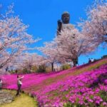 Mt Tsukuba Amazing Day Tour - What to Expect: Practical Details