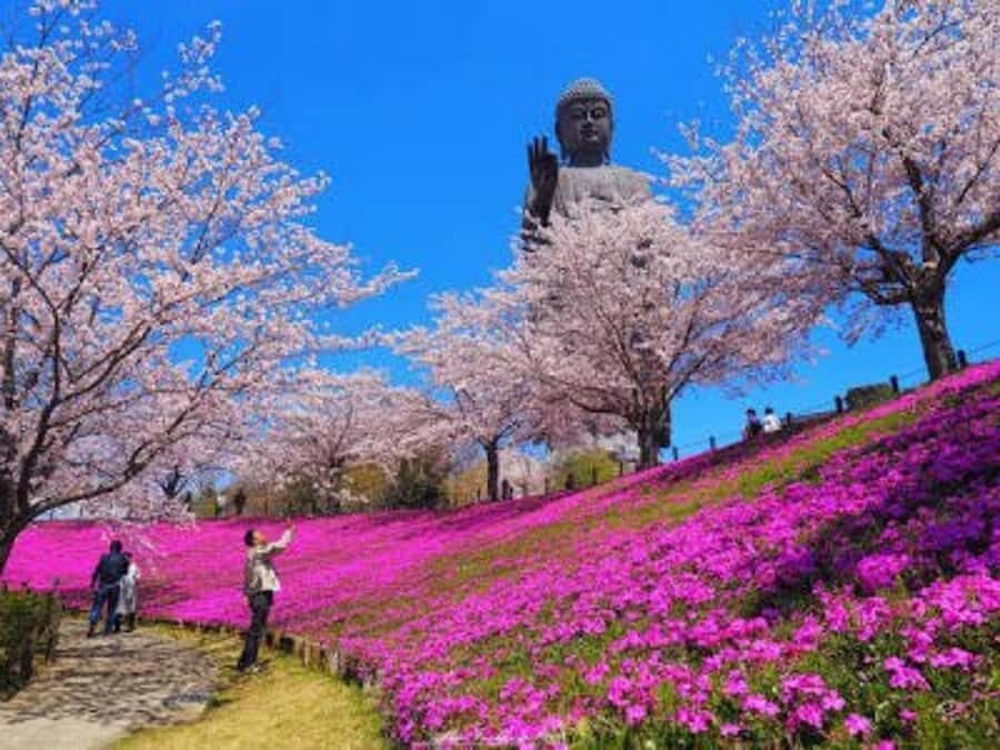 Mt Tsukuba Amazing Day Tour - What to Expect: Practical Details