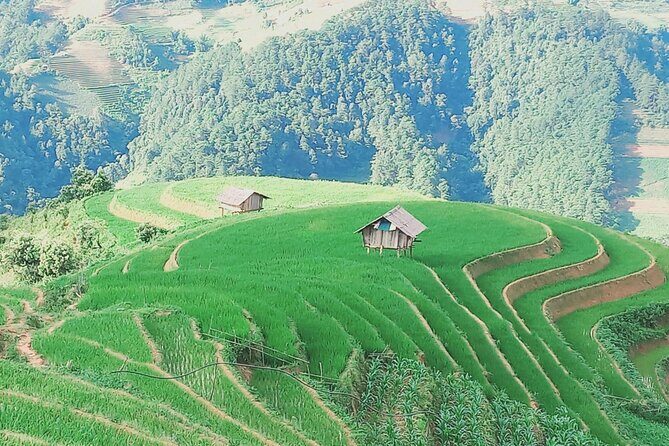 Mu Cang Chai One Day Trekking Tour With Local Guide - What’s Included and What’s Not