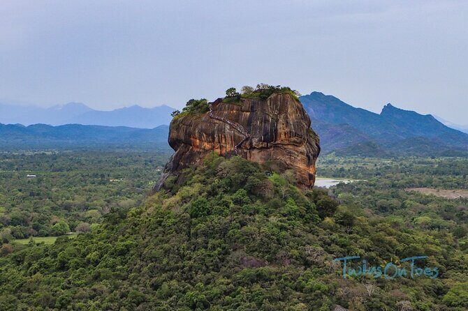 Multi Day Tour Tropical Sri Lanka A Week in Paradise - Who Is This Tour Best For?