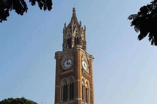 Mumbai Local City and Slum Tour by Car - What Makes This Tour Stand Out?