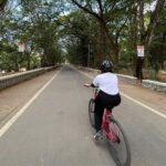 Mumbai : Private Sightseeing & Ancient Kanheri Caves - Pricing and Value