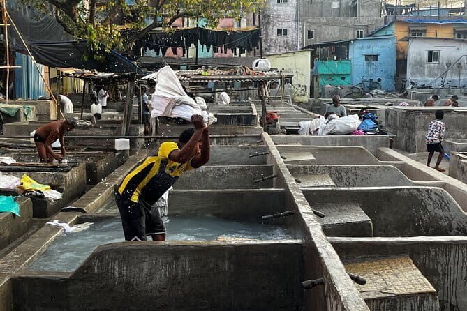 Mumbai Slum Dhobi Ghat and Train Ride Tour with a Local Guide - What the Reviews Reveal