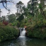 Munduk: Banyumala Twin Waterfall Jungle Trek, Swim & Lunch - The Value of the Banyumala Trek