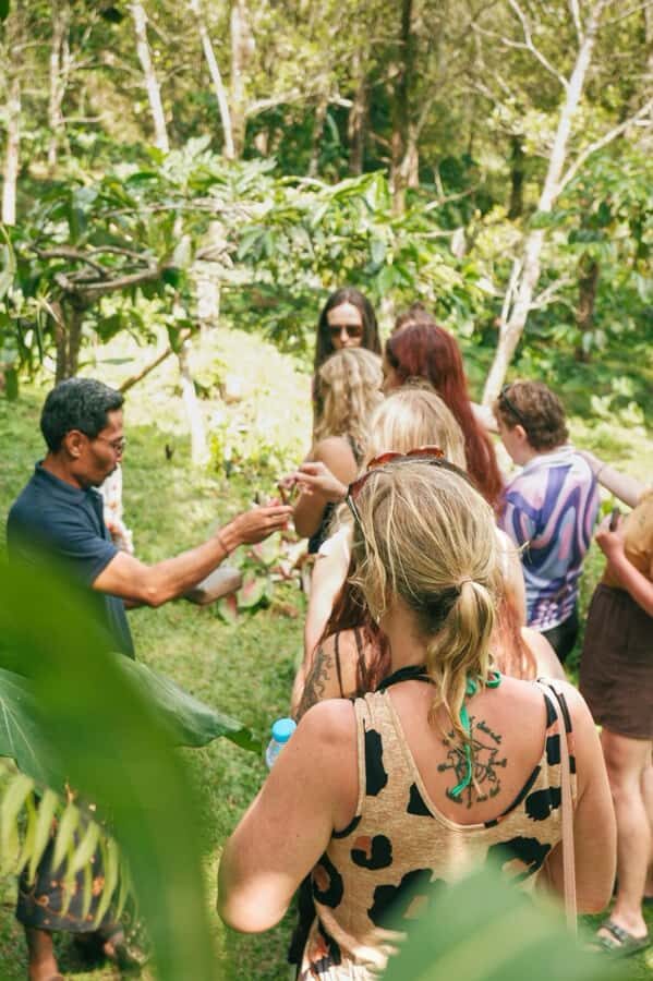 Munduk : Coffee Plantation Tour and Bamboo Weaving Class - What to Expect from the Experience