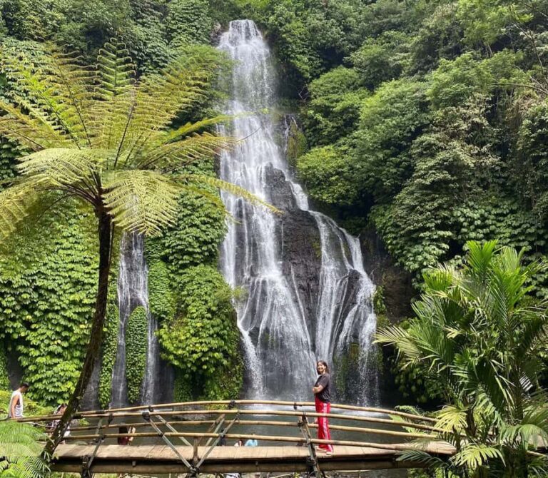 Munduk Highlights: Stunning North Bali Waterfalls & Temple - The Practical Side: What to Expect