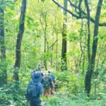 Munduk Jungle Trek & Hidden Waterfalls with Local Guide - The Location and Its Charm