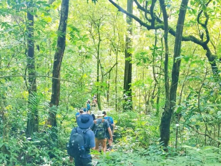Munduk Jungle Trek & Hidden Waterfalls with Local Guide - The Location and Its Charm