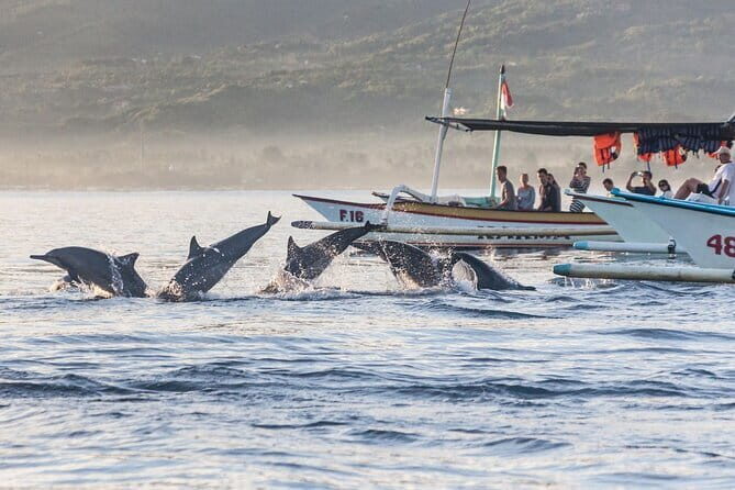 Munduk Waterfall Dolphin and Snorkeling Tour - What’s Included & What to Expect