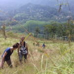 Munnar historical trail- (walk into Tea garden, village & market) - Day 2: Trekking into Munnar’s Tea Garden Hills