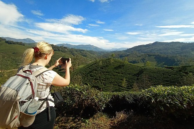 Munnar Tea Garden Trekking - Evaluating the Value and Experience