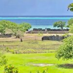 Must-Do : Nature, Culture & Moments Uniques  MirimirI Tours - An In-Depth Look at the Raiatea Experience