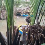 My Son Sanctuary Morning & Early Morning w. Coconut Jungle - Why this tour offers good value