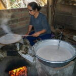 My Son Sanctuary Morning Tour from Da Nang - Discovering My Son Sanctuary