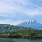 Mystical Fuji Forest Guide Running Trip (Shoe Rental Included) - What Makes This Tour Stand Out?