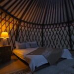 Naadam and Glamping in Mongolia - Introduction: An Authentic Mongolian Adventure