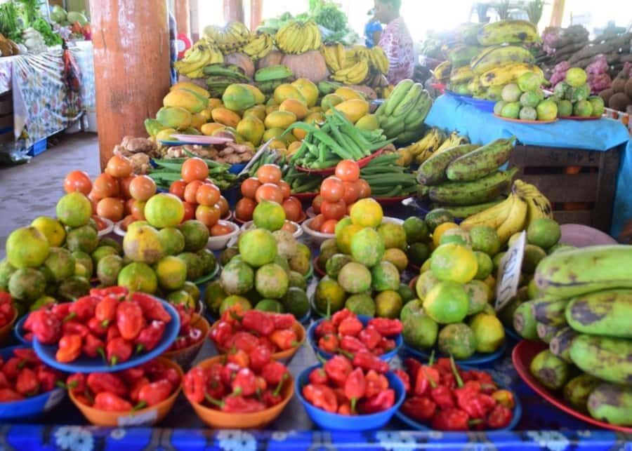 Nadi: Culture, Temples, Markets & Garden Adventure - Detailed Breakdown of the Itinerary