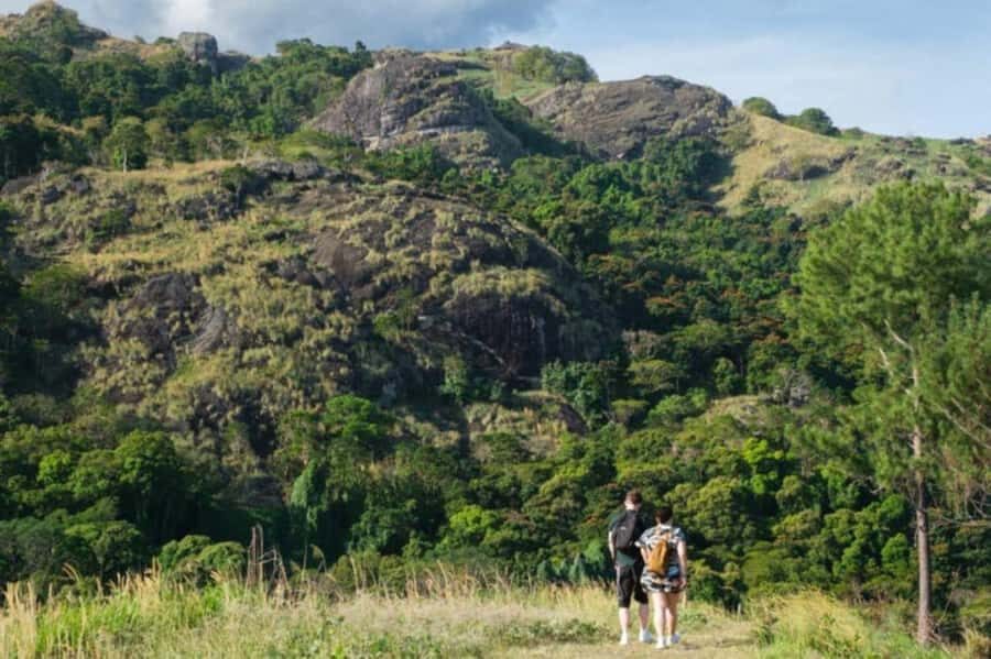 NADI: Exquisite Orchid Garden Tour with Hotspring & Mudpool - A Detailed Look at the Orchid Garden and Beyond