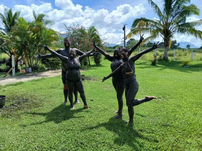 NADI: Fijian Village & School Tour with Mudpool & Hotspring - Transportation, Price, and Group Size