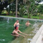 NADI: Sabeto Tifajek Mudpool & Hot Spring Tours & Tickets - The Itinerary Breakdown