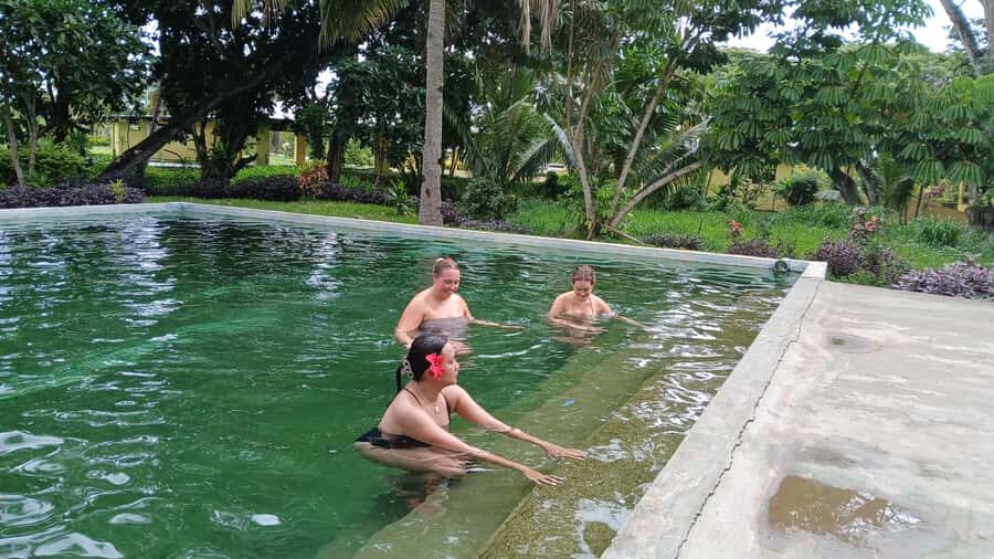 NADI: Sabeto Tifajek Mudpool & Hot Spring Tours & Tickets - The Itinerary Breakdown