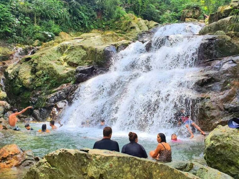 Nadi: Zipline, Waterfalls, and Jungle Safari Tour with Lunch - The Value for Money