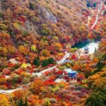 Naejangsan Fall Foliage Tour from Busan with Seoul Drop-off - Price and Value Considerations