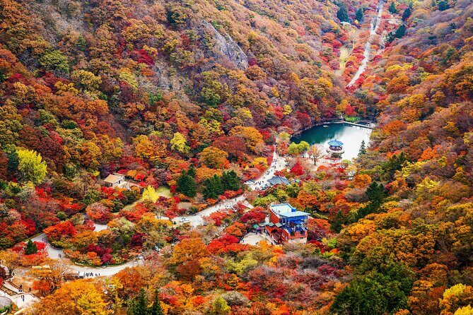 Naejangsan Fall Foliage Tour from Busan with Seoul Drop-off - Price and Value Considerations