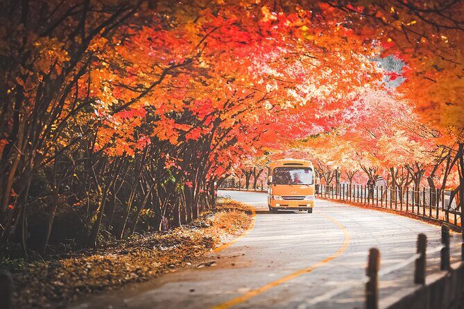 Naejangsan Fall Foliage Tour from Seoul with Busan Drop-off - Analyzing the Value: Is It Worth It?