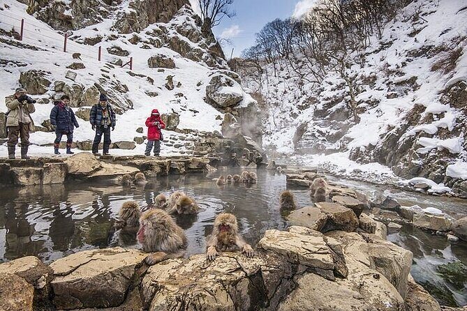 Nagano Day Tour from Tokyo Zenko Ji Temple and Snow Monkeys - The Practical Side: Transportation, Duration, and Cost