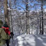 Nagano Iiyama : Snowshoe Hike a half-day, Nozawa, Madarao - What to Expect on the Trail