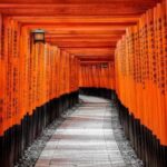 Nagano: Kyoto Private Customizable Tour with Guide - Who Is This Tour Best For?