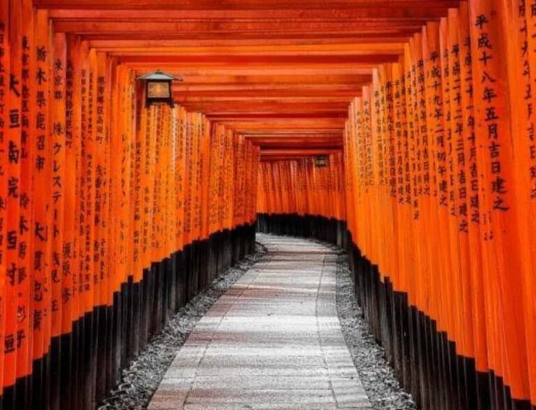 Nagano: Kyoto Private Customizable Tour with Guide - Who Is This Tour Best For?