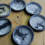 Nagano-Myoko-Joetsu Private Tour with Licensed Guide - The Journey Begins: From the Myoko Kogen Visitor Center