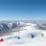 Nagano: Snow Monkey Park and Shiga Kogen Day Trip - Practical Aspects & Comfort