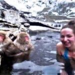 Nagano Snow Monkey & Zenkoji Private Customizable Tour - What Sets This Tour Apart