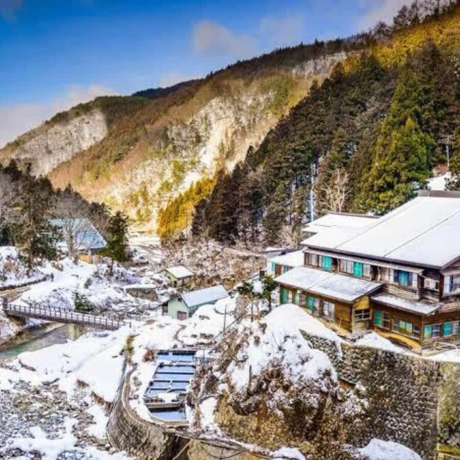 Nagano & Tokyo: Snow Monkey Private Customizable Day Tour - Starting Point & Logistics