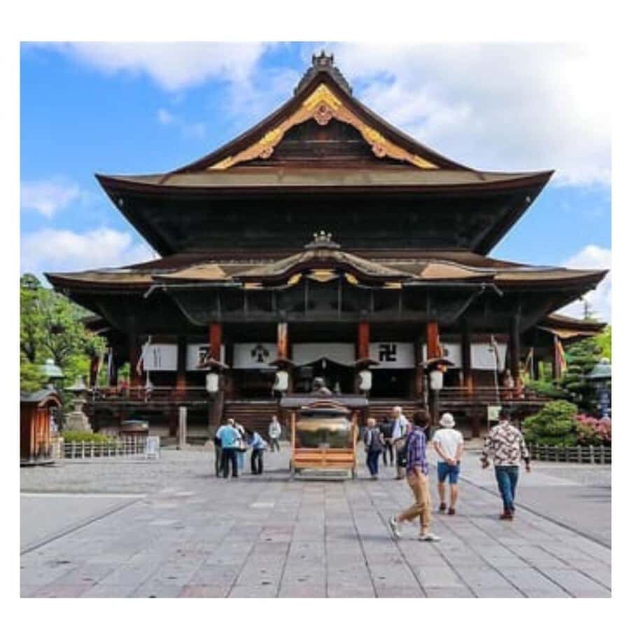 Nagano/ Tokyo: Snow Monkey Private Day Tour Fully Customised