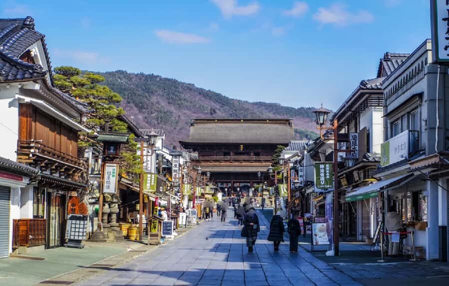 Nagano: Zenko-ji Temple, Snow Village & Monkey Park Tour - Who Would Enjoy This Tour?