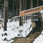 Naganos Snow Monkeys and Sake Tasting Day Tour - Who Will Love This Tour?