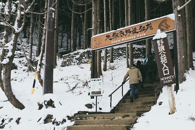 Naganos Snow Monkeys and Sake Tasting Day Tour - Who Will Love This Tour?