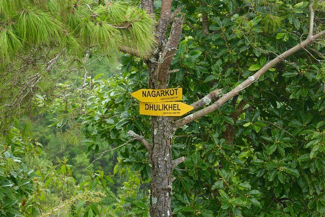 Nagarkot to Dhulikhel Day Hike from Kathmandu - The Hike: From Nagarkot to Dhulikhel