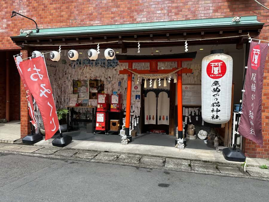 Nagasaki: Hidden Alleys and Finding Local Cats Walking Tour - Why This Tour Offers Value