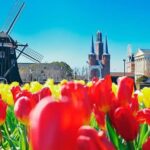 Nagasaki: Kunchi Festival and Huis Ten Bosch Tour - Final Thoughts: Is This Tour Worth It?