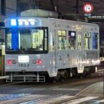 Nagasaki Night Tour - Comfort and Practical Details