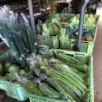 Nagasaki Sasebo: Traditional Cooking Class in Japanese House - What Makes This Cooking Class Stand Out?